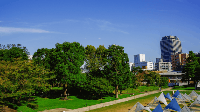 Safe Paternity Testing in Draper, UT